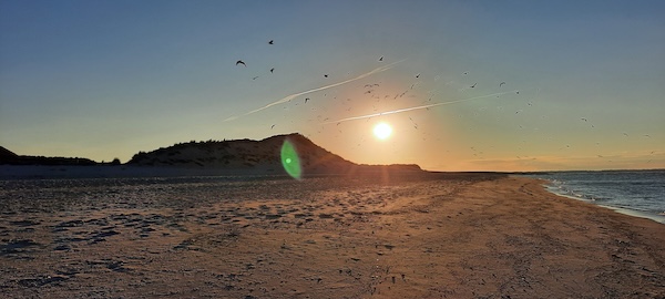 Sonnenauf- oder untergang? (02_20220901_071414.jpg)