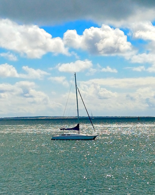 Sylt Impressionen
  (65_20250822_133855.jpg)